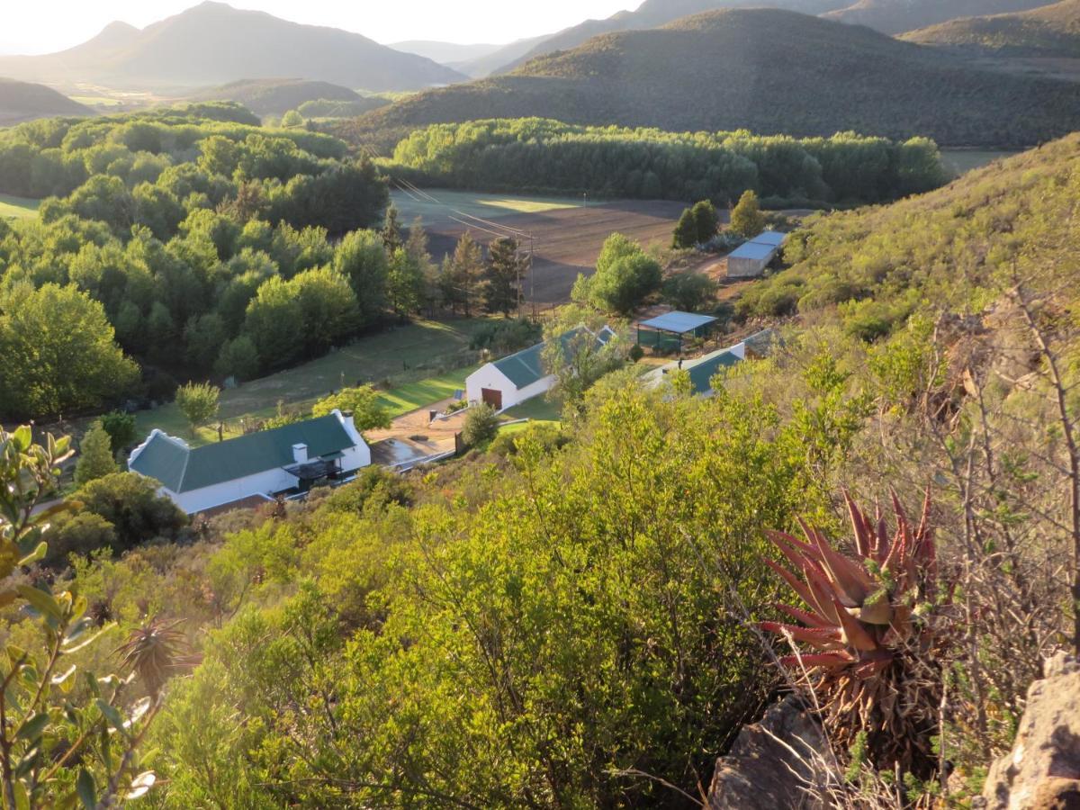 Bo Kouga Mountain Retreat Hotel Ongelegen Bagian luar foto